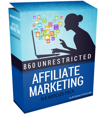 The Expert Guide To Affiliate Marketing PLR Ebook