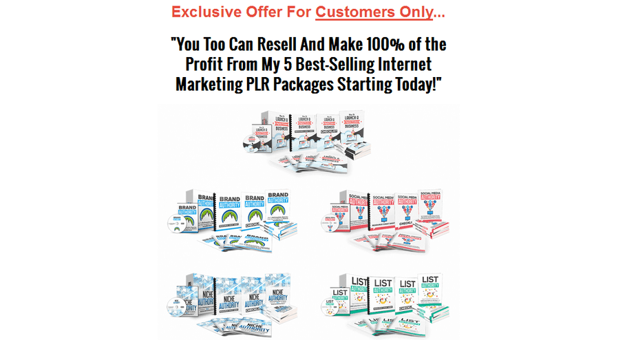 5 Premium Internet Marketing PLR Businesses In A Box Packages