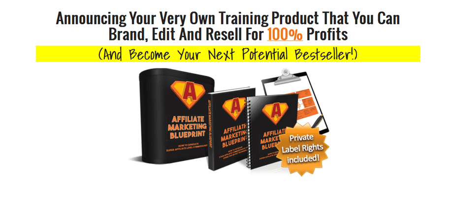 Affiliate Marketing Blueprint PLR Business in a Box Package