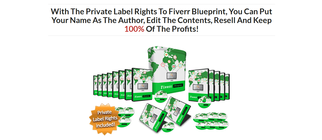Make Money on Fiverr Blueprint PLR Business in a Box Package
