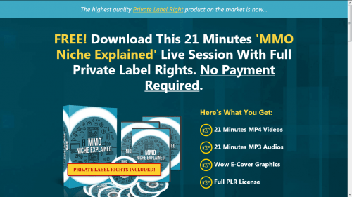 Make Money Online Niche Explained Free PLR Videos