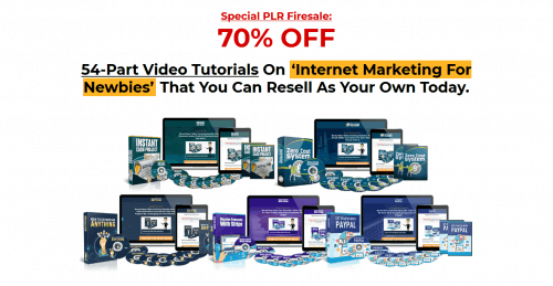 Internet Marketing For Newbies 54-Part PLR Videos Package