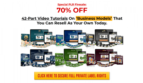 Business Models PLR Firesale 6 Complete PLR Video Products