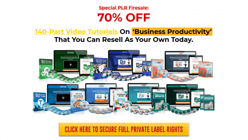 Business Productivity PLR Video Products Bundle