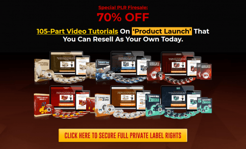 Product Launch PLR Video Firesale 6 PLR Video Courses