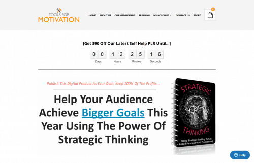 Strategic Thinking PLR Special Premium PLR Bundle