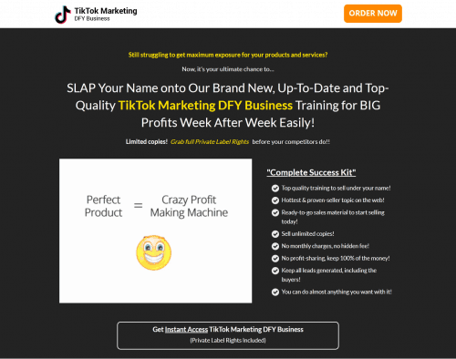 TikTok Marketing DFY Business PLR Sales Funnel