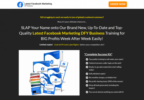 Facebook Marketing DFY Business PLR Funnel 2020