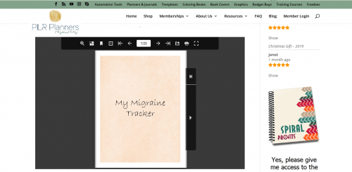 Migraine Tracker PLR Planner