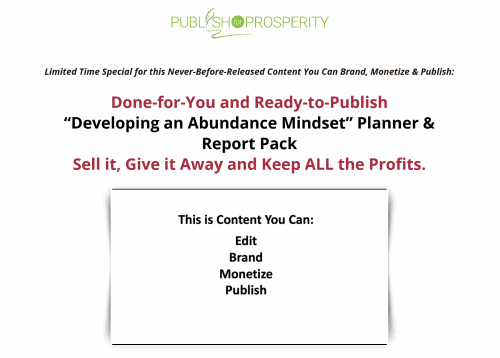 Developing an Abundant Mindset PLR Report and Planner