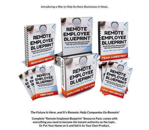 Remote Employee Blueprint PLR Bundle