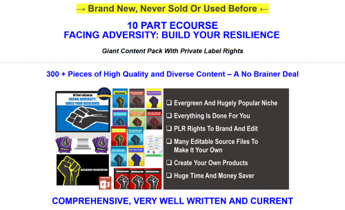 Facing Adversity Build Your Resilience Huge PLR Package