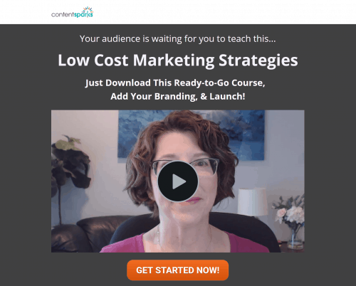 Low Cost Marketing Strategies Brandable Coaching Program PLR