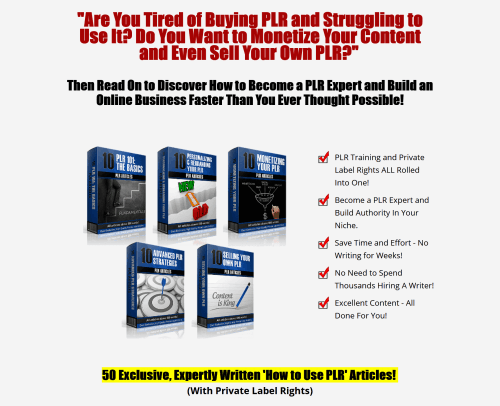 PLR On PLR From Beginner to Pro – Learn To Use PLR Package