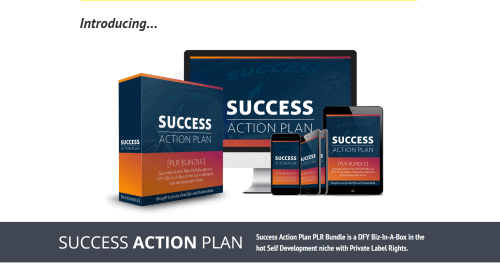 Success Action Plan DFY Content – New HIGH QUALITY done-for-you Personal Development PLR Bundle