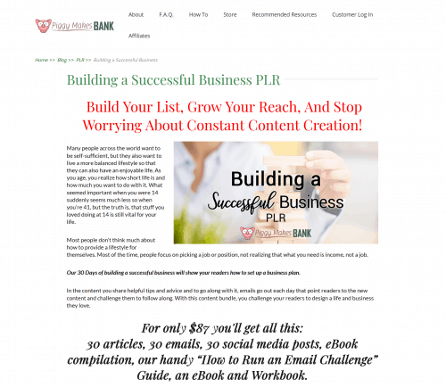 30 Days Building a Successful Business Plan PLR Bundle