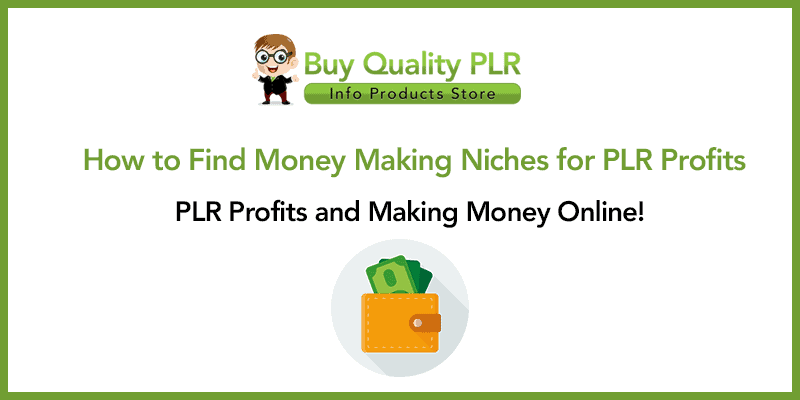 How to Find Money Making Niches for PLR Profits