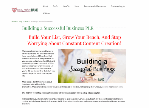 30 Days Building a Successful Business Plan PLR Bundle