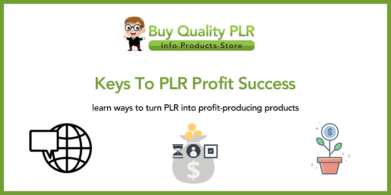 Keys To PLR Profit Success