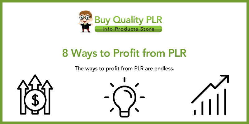 8 Ways to Profit from PLR Products