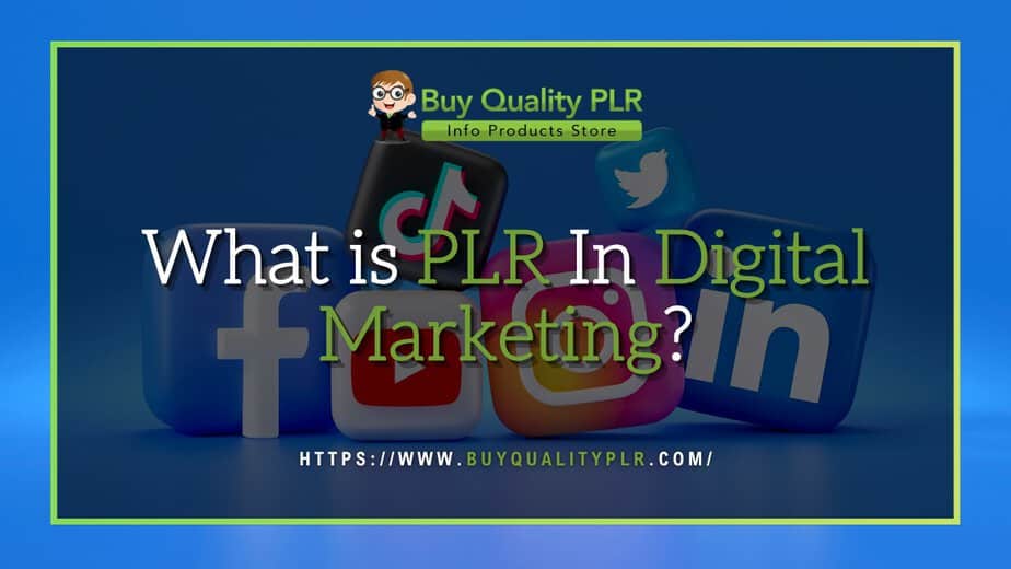What is PLR in Digital Marketing