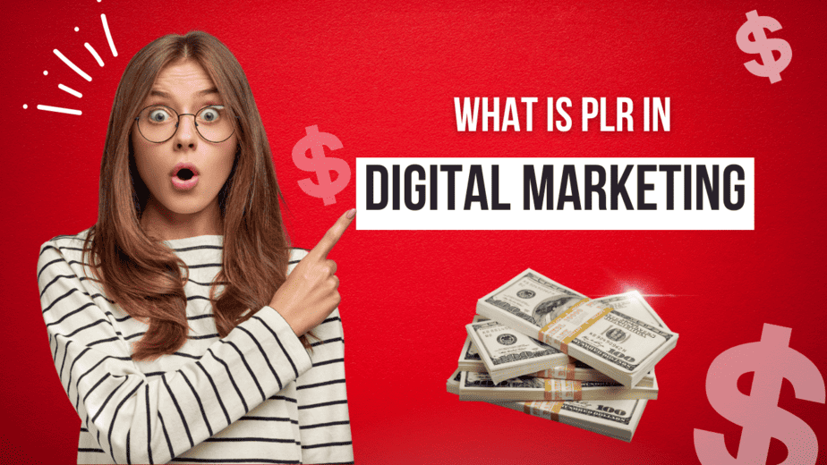 What is PLR in Digital Marketing