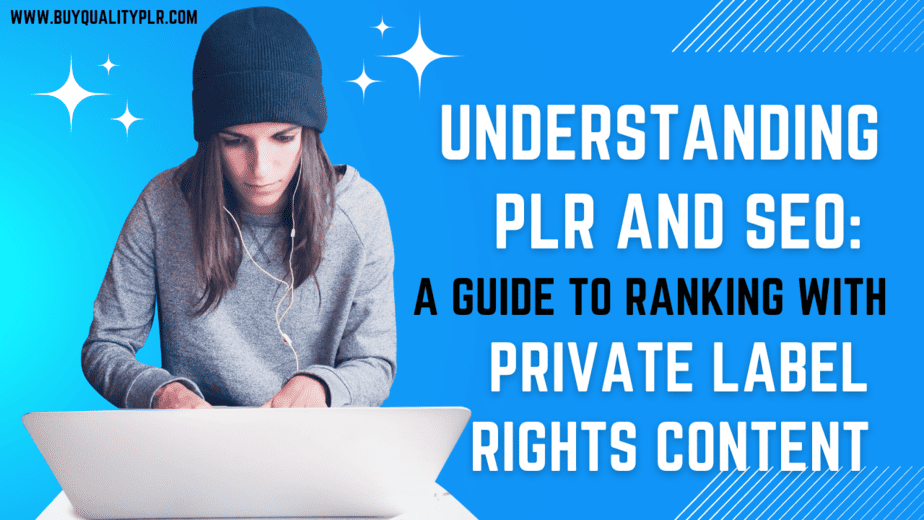 Understanding PLR and SEO A Guide to Ranking with Private Label Rights Content