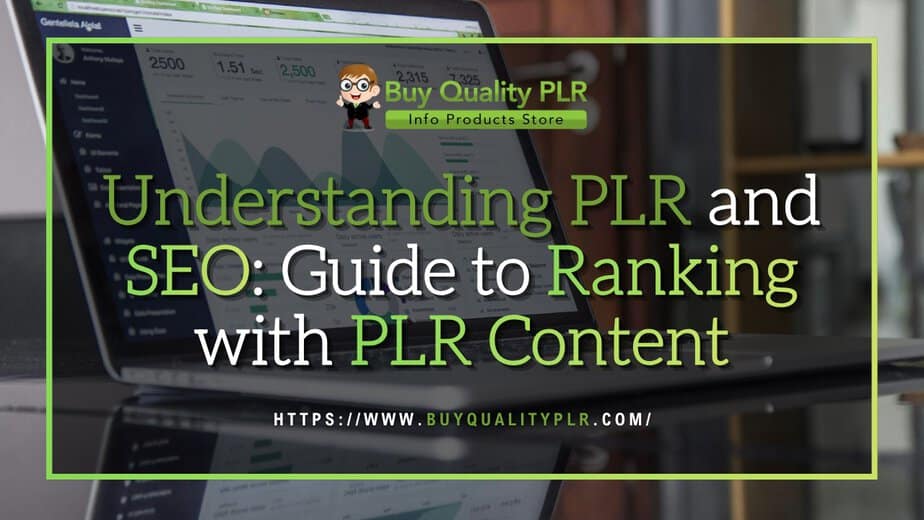 Understanding PLR and SEO Guide to Ranking with PLR Content