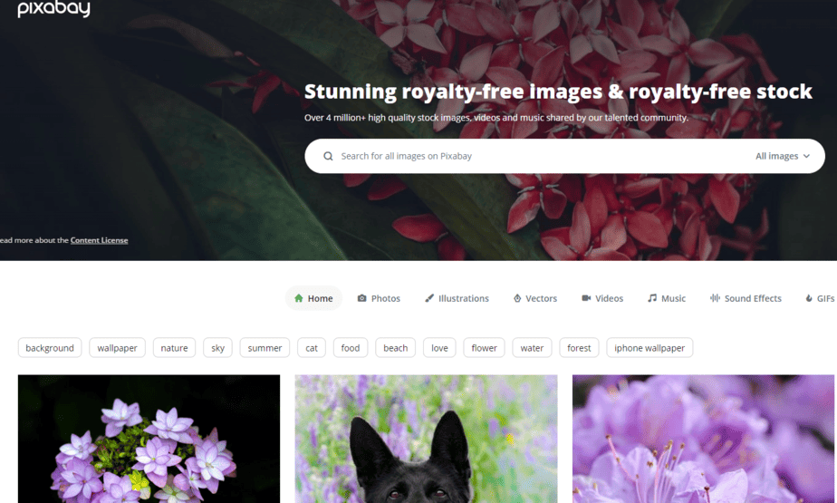 Top Websites to Find Free Stock Photos piXABAY