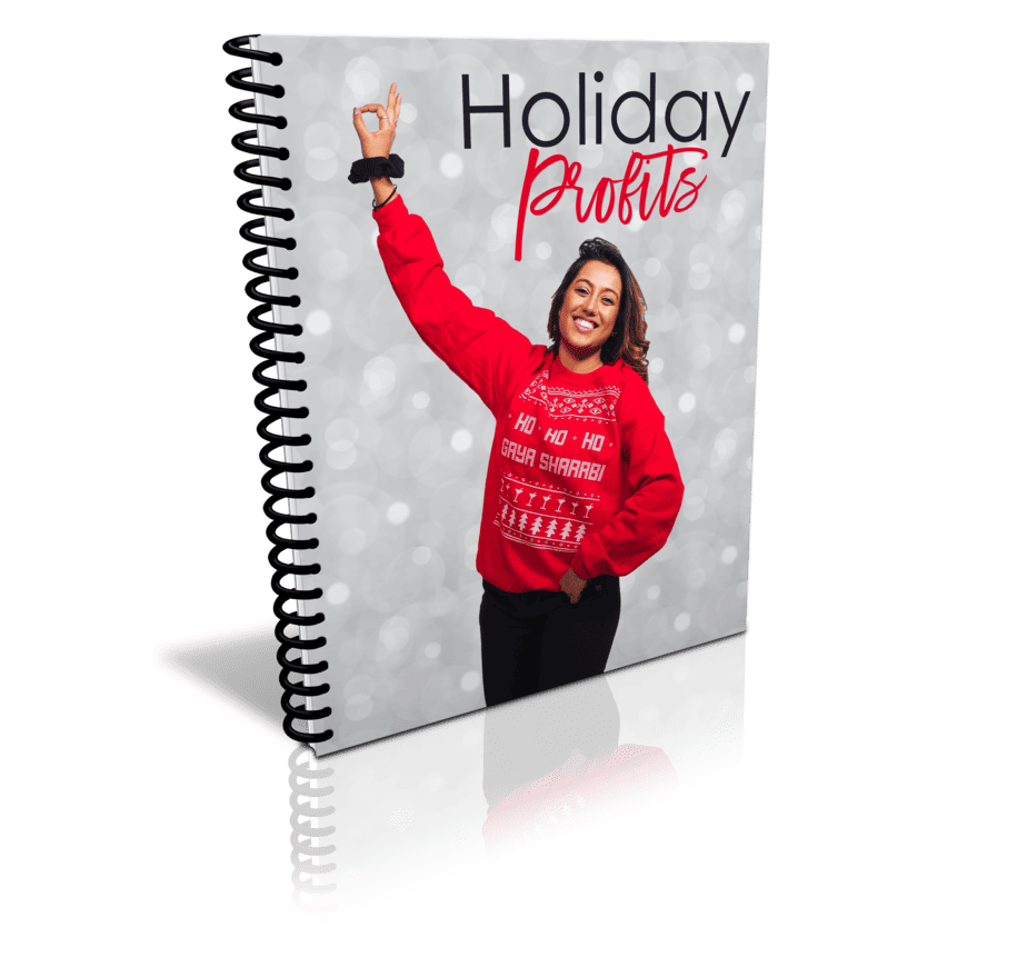 Holiday Profits Premium PLR Package