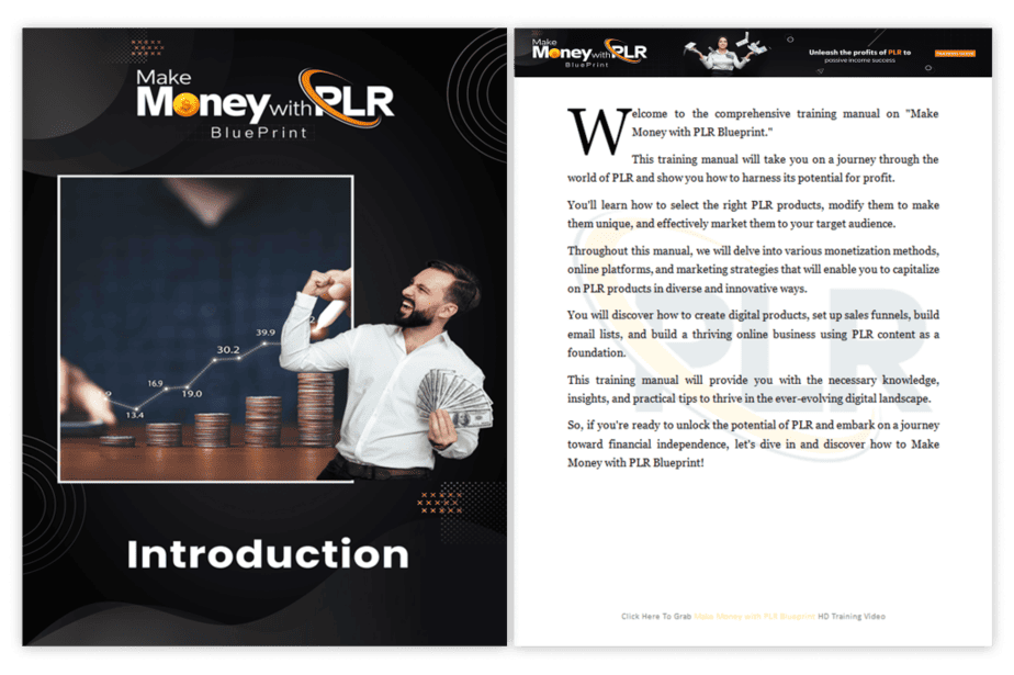 Make Money with PLR Blueprint PLR Sales Funnel Training Guide