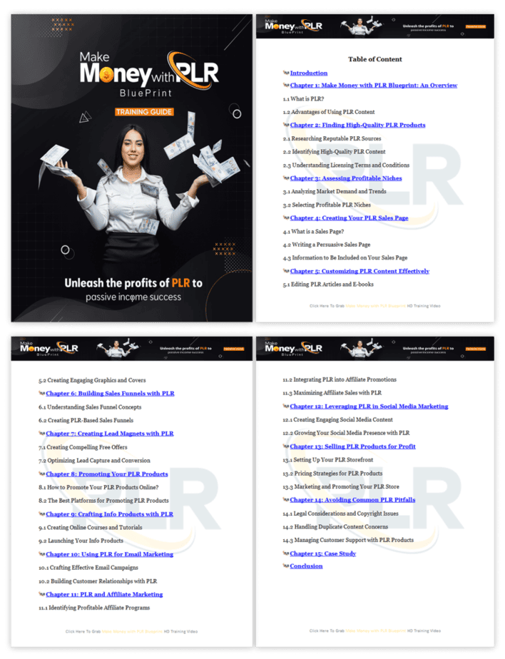 Make Money with PLR Blueprint PLR Sales Funnel Training Guide Screenshot