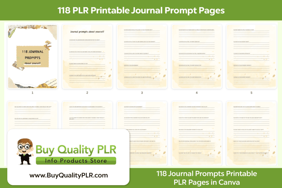 Life Transformation PLR Planner Pages