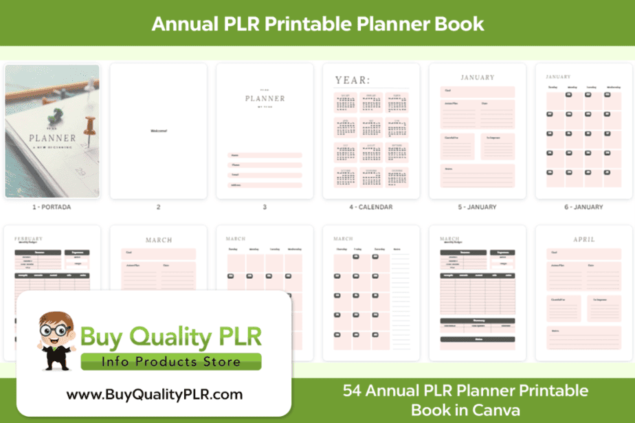 Annual PLR Printable Planner Book