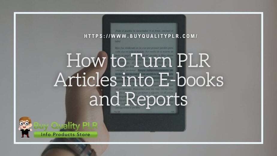 How to Turn PLR Articles into E books and Reports