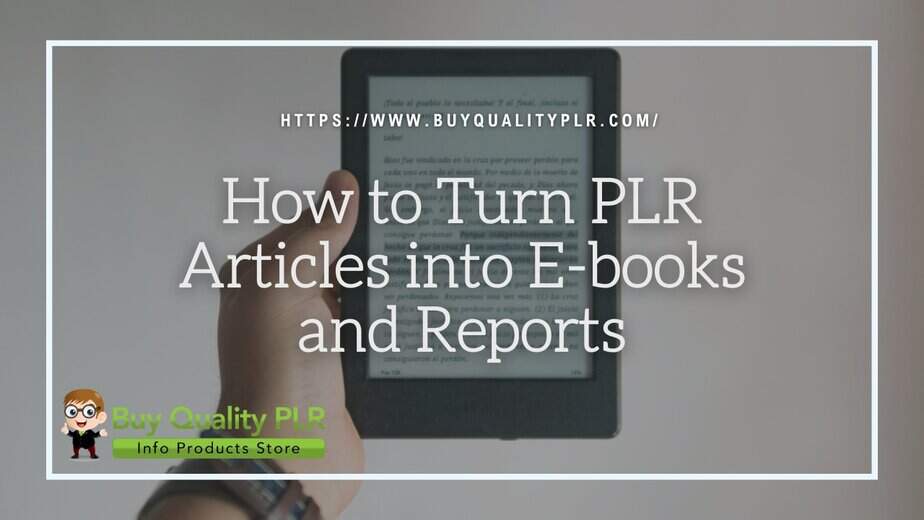 How to Turn PLR Articles into E books and Reports