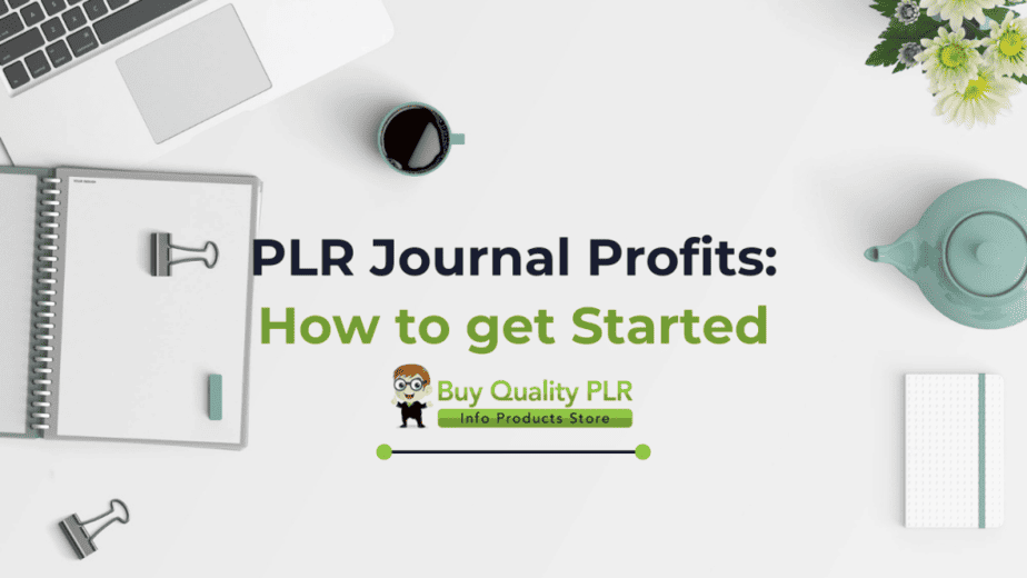 PLR Journal Profits How to get Started