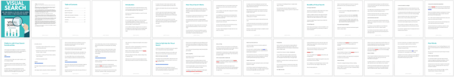 Visual Search PLR Report Sneak Preview