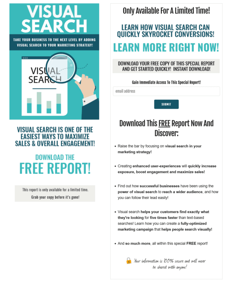 Visual Search PLR Squeez Page