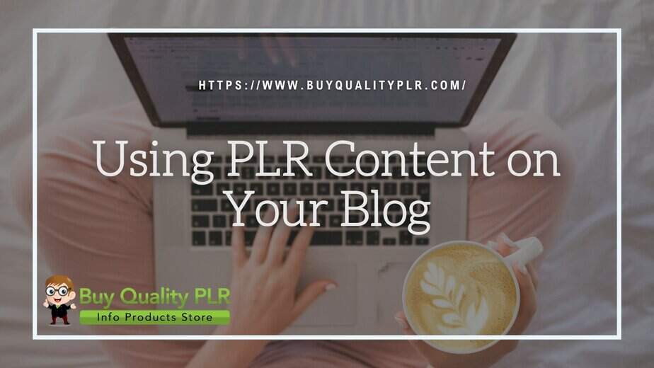 Using PLR Content on Your Blog