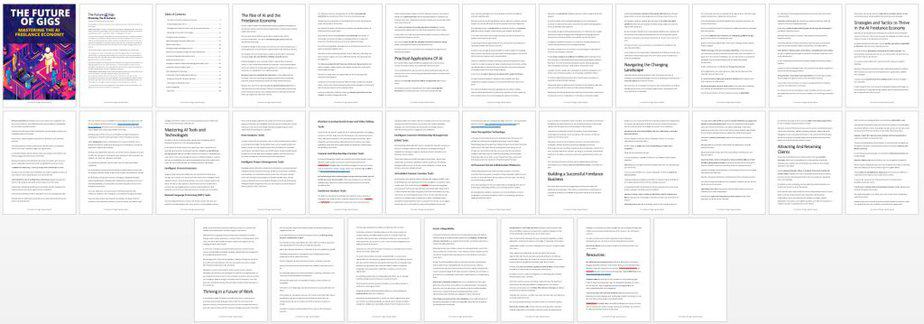 AI Freelancer PLR Lead Magnet Report