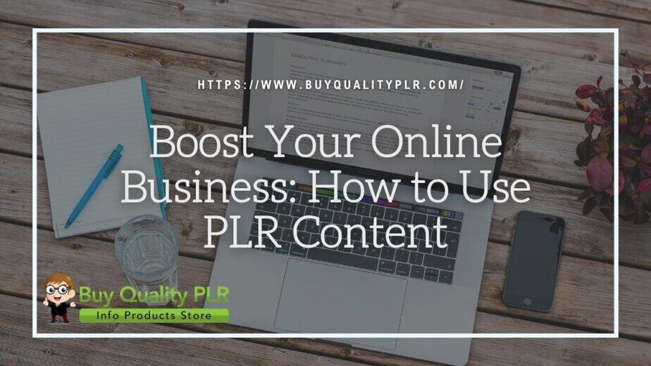 Boost Your Online Business How to Use PLR Content