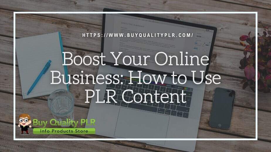 Boost Your Online Business How to Use PLR Content