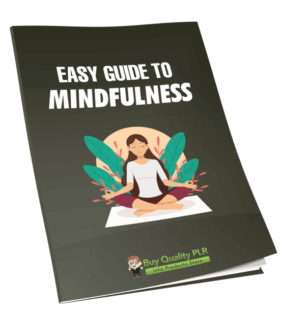 Easy Guide To Mindfulness PLR Course