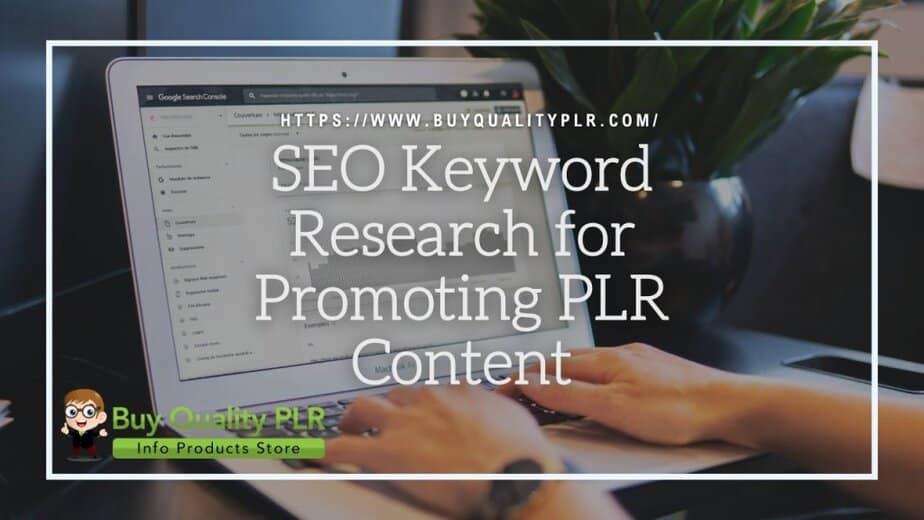 SEO Keyword Research for Promoting PLR Content