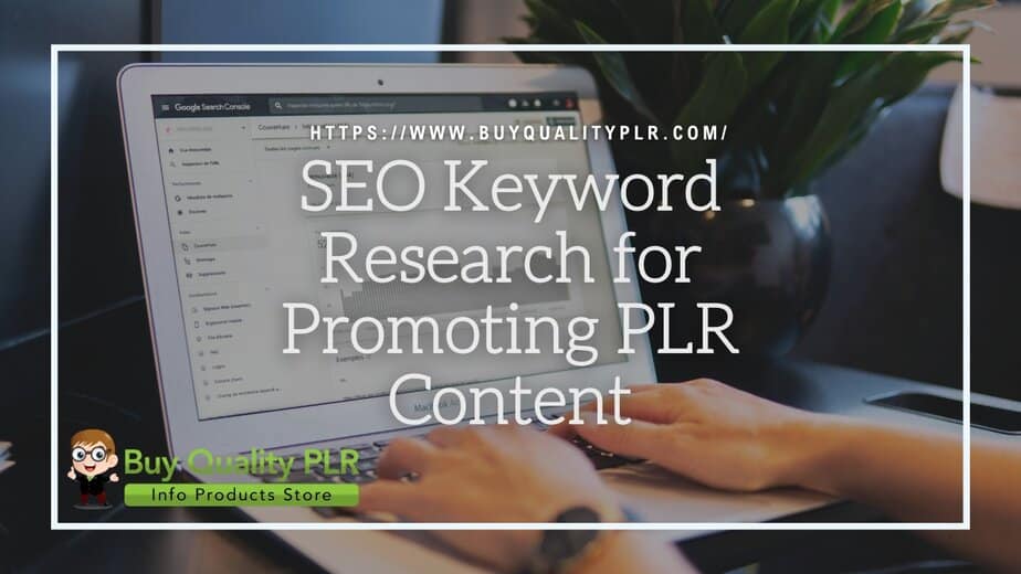 SEO Keyword Research for Promoting PLR Content