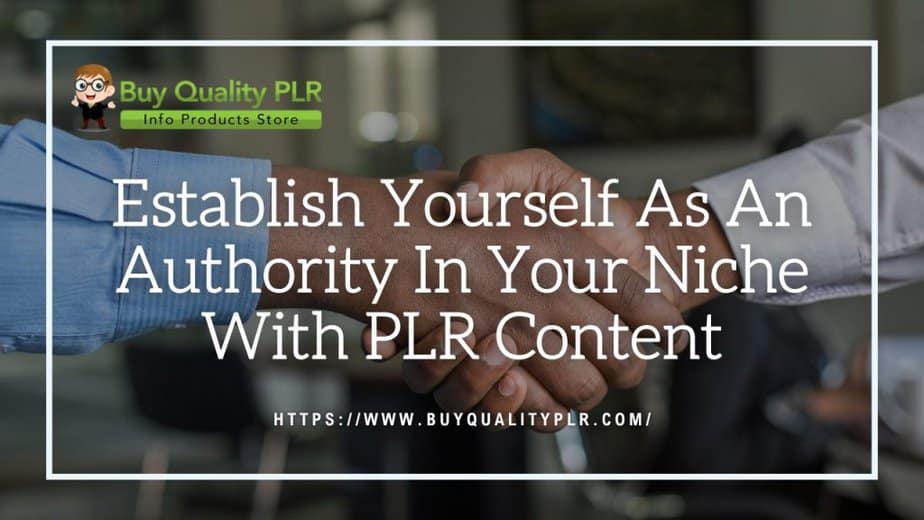 Establish Yourself As An Authority In Your Niche With PLR Content