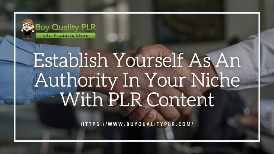 Establish Yourself As An Authority In Your Niche With PLR Content
