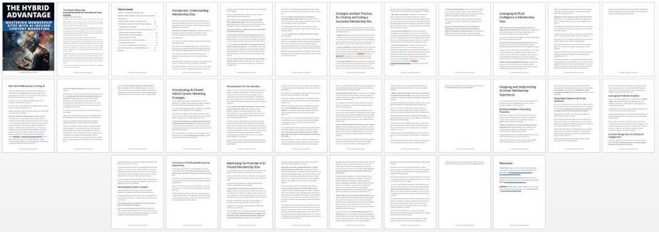 Hybrid Advantage PLR Report Screenshot