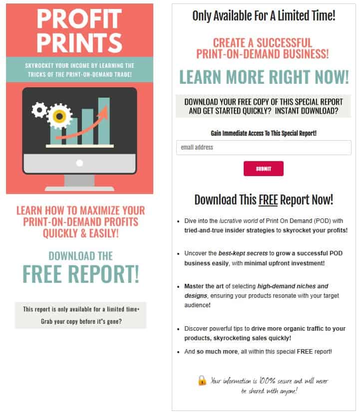 Profit Prints PLR Lead Magnet Squeeze Page Screenshot
